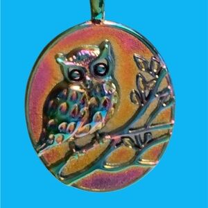 Colorful Owl Pendant for Bird Lovers. Rope chain necklace. NEW!